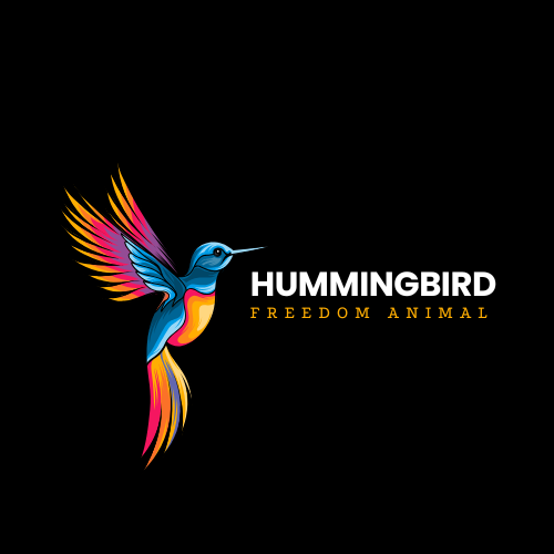 Colorful Illustrative Hummingbird Animal Logo